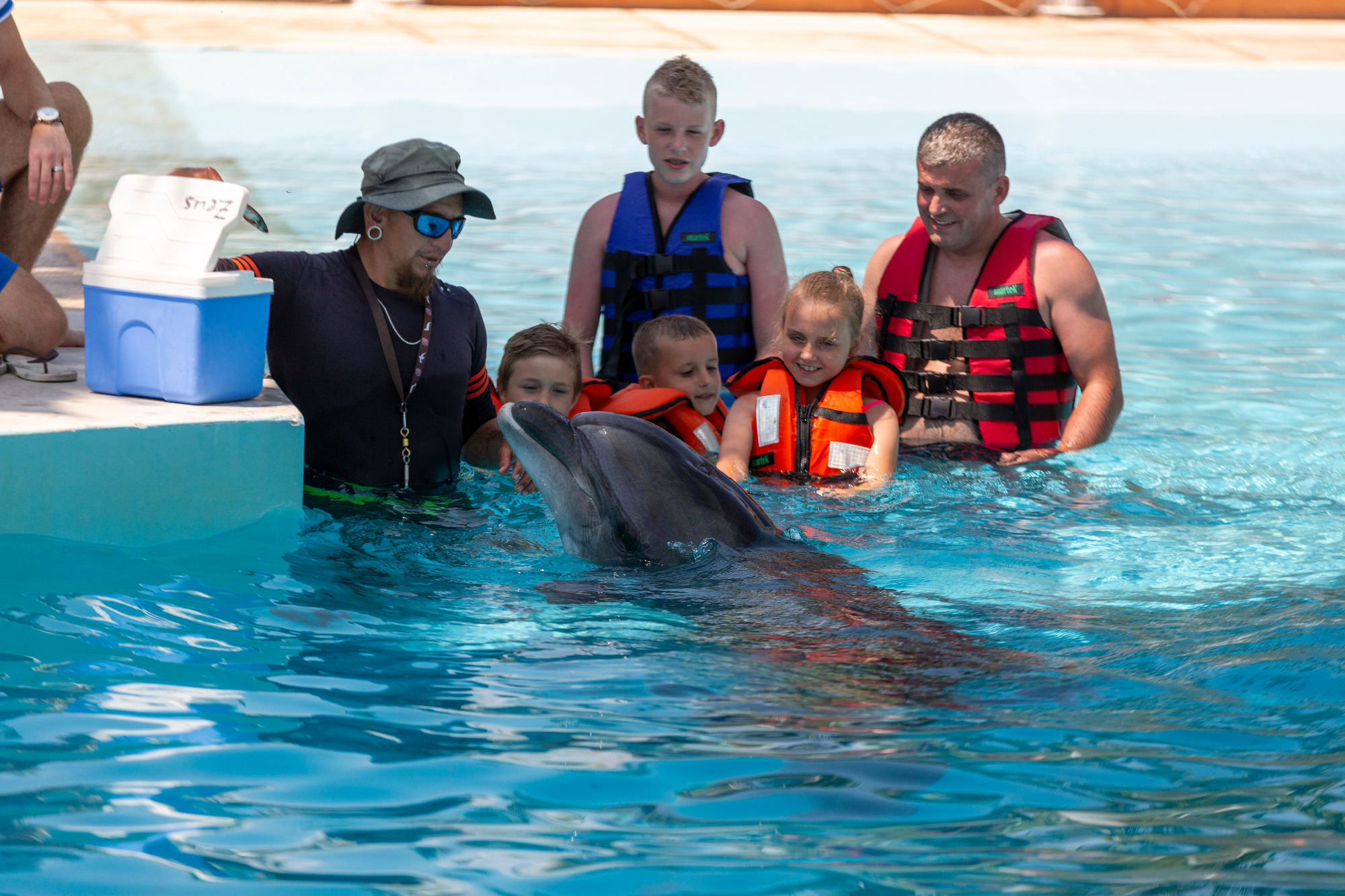 Alanya Swimming with Dolphins Tour