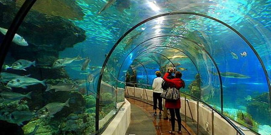 Antalya Aquarium Tour from Alanya